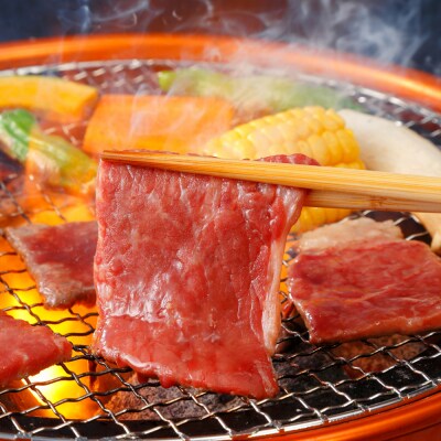 飛騨牛 焼肉用　もも・かた肉600g(300g×2)