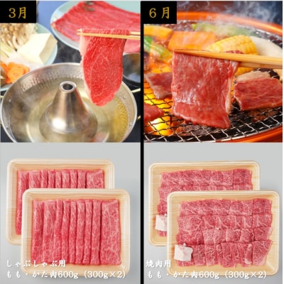 飛騨牛定期便　全4回コース