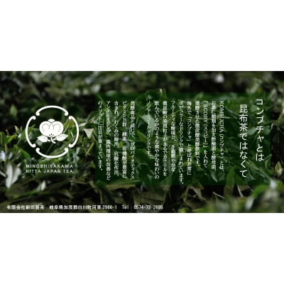 【ORIGINAL  KOMBUCHA】fog-sencha(煎茶コンブチャ)