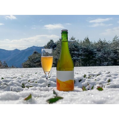 【ORIGINAL  KOMBUCHA】fog-hojicha(ほうじ茶コンブチャ)