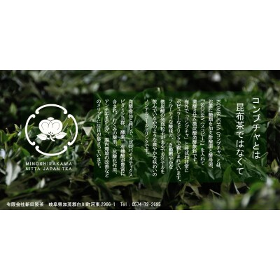【ORIGINAL  KOMBUCHA】fog-hojicha(ほうじ茶コンブチャ)