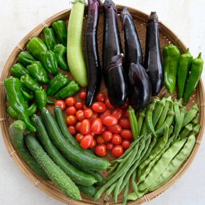 旬のお野菜詰め合わせセット