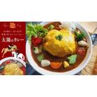 太陽のカレー　500g(2.5人前)×8個