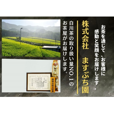 白川茶定期便　全4回コース