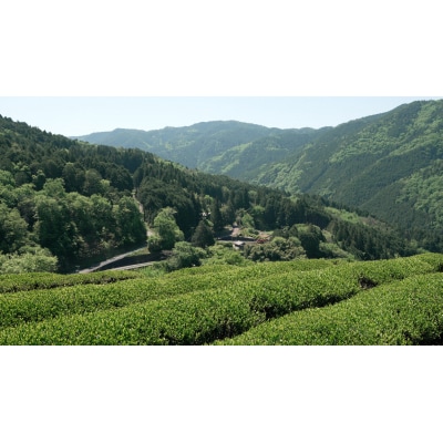 発酵和茶Trinitea 一番茶・二番茶ティーバッグセット (化粧箱入り) 各3g×7パック