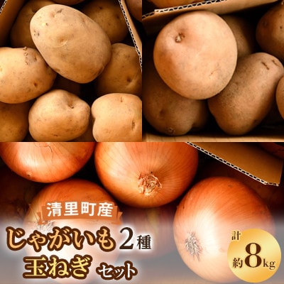 【先行受付】清里町産じゃがいも2種・玉ねぎセット【約8kg】