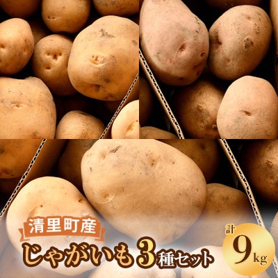 【先行受付】清里町産じゃがいも3種セット【計9kg】