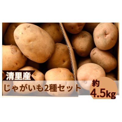清里町産じゃがいも2種セット(男爵・レッドムーン)【計4.5kg】