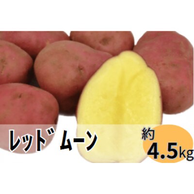清里産じゃがいも1種類(レッドムーン)【4.5kg】