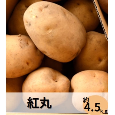 清里産じゃがいも1種類(紅丸)【4.5kg】