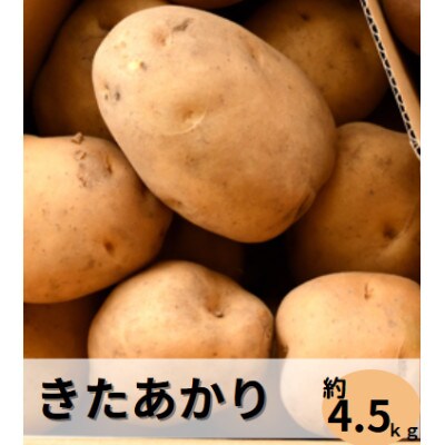 清里町産じゃがいも1種類(きたあかり)【4.5kg】