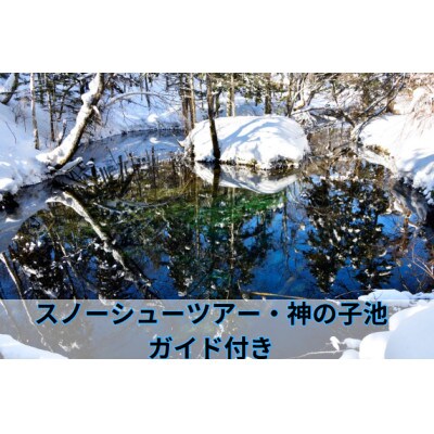 地元ガイドが案内するスノーシューツアー　「神の子池」　3名様まで