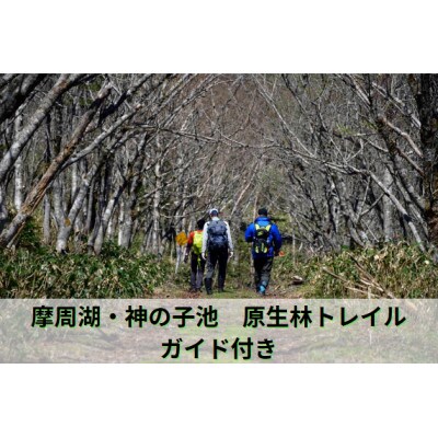 摩周湖・神の子池　原生林トレイル・ガイド付き　3名様まで
