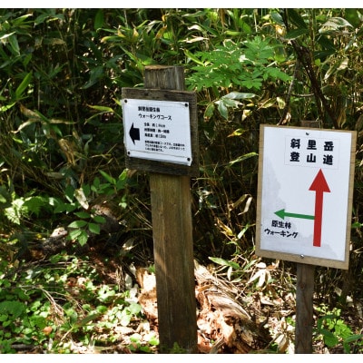 地元ガイドが案内する斜里岳沢渡り原生林ツアー・山小屋「清岳荘」宿泊付き　3名様まで