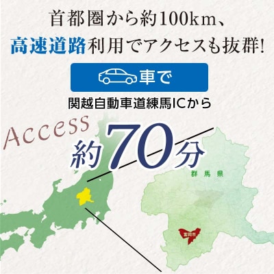 富岡市ゴルフ場利用券 (3,000円相当額) F20E-204