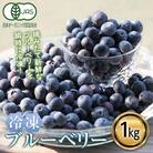 <有機JAS認定> 冷凍ブルーベリー (1kg)  F20E-848