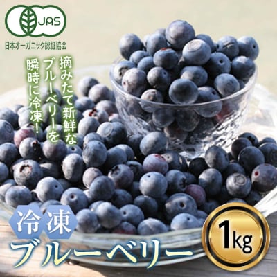 <有機JAS認定> 冷凍ブルーベリー (1kg)  F20E-848