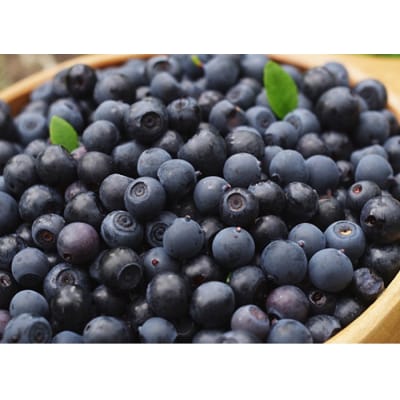 <有機JAS認定> 冷凍ブルーベリー (1kg)  F20E-848
