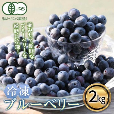 有機JAS認定 冷凍ブルーベリー 2kg F20E-849