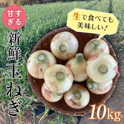 【先行受付】甘すぎる新鮮玉ねぎ 10kg(6/16～7/15出荷分)