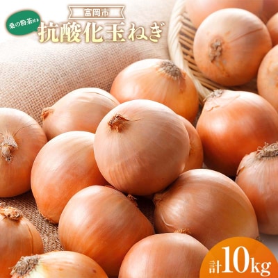 抗酸化玉ねぎ 10kg<桑の粉茶10g付き> F21E-410