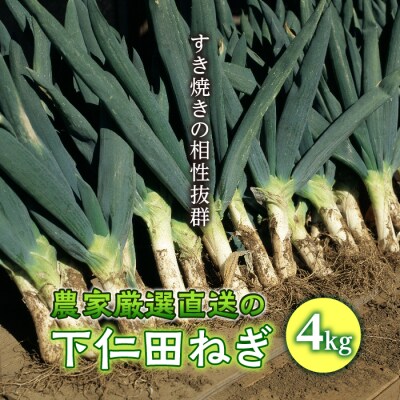 《期間限定》農家厳選直送の下仁田ねぎ 4kg(すき焼きの相性抜群) F20E-712 | ふるさと納税のお礼品