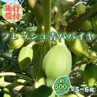 <先行受付> フレッシュ 青パパイヤ 合計3kg F20E-697
