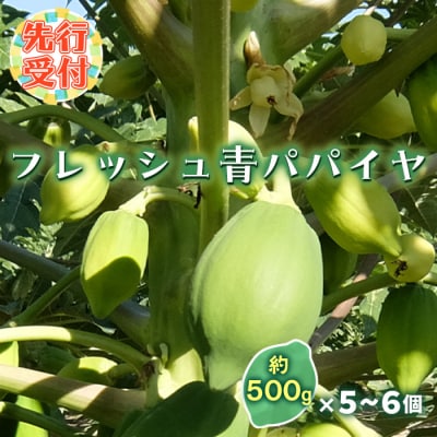 <先行受付> フレッシュ 青パパイヤ 合計3kg F20E-697