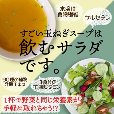 すごい玉ねぎスープ30包×2 F20E-814