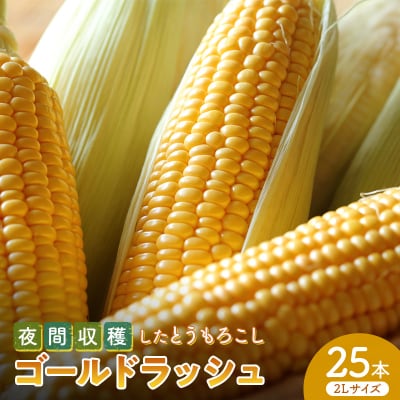 夜間収穫したとうもろこし ゴールドラッシュ2Lサイズ 25本 (約10kg) F21E-066