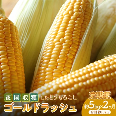 <2025年先行受付>【2ヶ月定期便】夜間収穫したとうもろこし ゴールドラッシュ  F21E-068