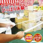 繭がシルク製品となる工程を体験!「シルク引っ張り体験」シルクが入った枕のお土産付き F20E-285