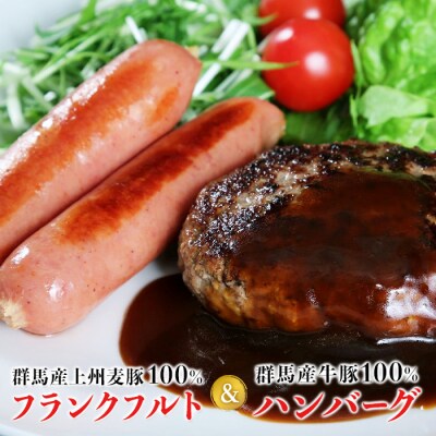 上州麦豚 フランクフルト7本&王様のハンバーグ(150g×2) 豚 銘柄豚 肉 F20E-957