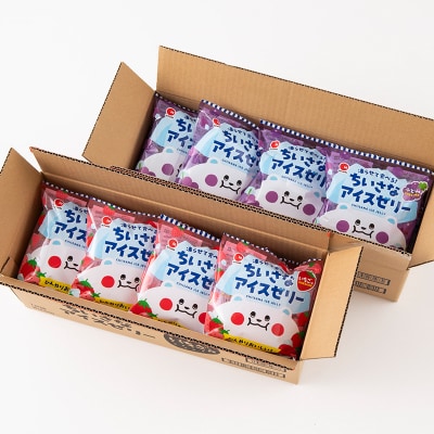 凍らせて食べるゼリー! ちいさなアイスゼリー いちご ぶどう 大容量 F21E-197