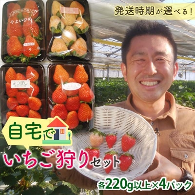 自宅でいちご狩りセット<淡雪・赤い苺3種類>【2026年3月1日〜5月15日発送】 F21E-249