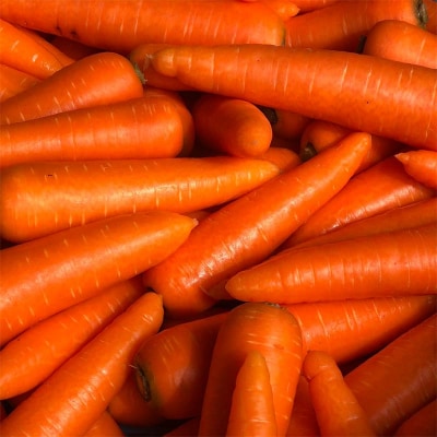 妙義山の麓 にんじんむすめジュース(ストレート) 3本セット F21E-298