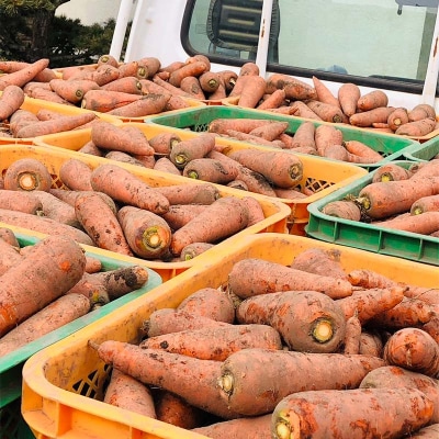 妙義山の麓 にんじんむすめジュース(ストレート) 3本セット F21E-298