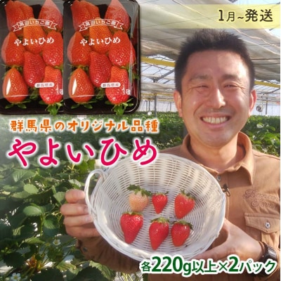 QnYZbg<悢Ђ2pbN>y2026N14?331z F21E-493