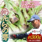 ≪先行受付≫ 山菜の王様 たらの芽 (300g) (2026年1月より順次発送) F20E-770