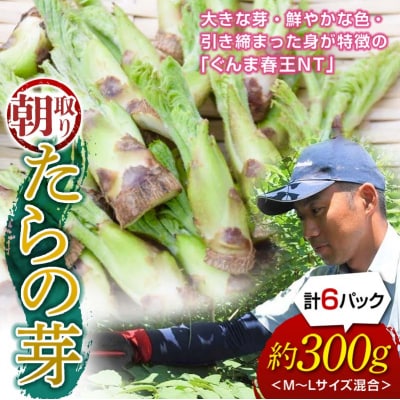 ≪先行受付≫ 山菜の王様 たらの芽 (300g) (2026年1月より順次発送) F20E-770