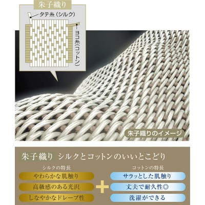 【中わた 富岡産シルク100%】シルク掛布団(セミダブルサイズ)シャンパンゴールド F21E-435