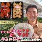 群馬県産いちごセット <やよいひめ・淡雪>【2026年1月4日〜3月31日発送】 F21E-515