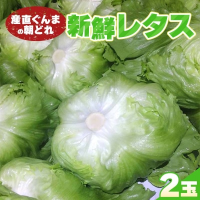 産直ぐんまの朝どれ 新鮮レタス 300g以上×2個 F21E-562