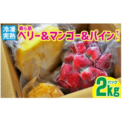 冷凍美ら島ベリー&マンゴー&パインセット　合計約2Kgパック