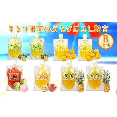 まるで果実のようなジュレ詰合　Bセット