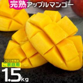 ご家庭用でも極上に美味しい完熟アップルマンゴー1.5kg 【2023年発送】農園直送!
