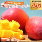 【2026年6月から順次発送・農園直送!】ご家庭用でも極上に美味しい完熟アップルマンゴー1.5kg