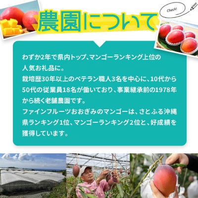 【2026年6月から順次発送・農園直送!】農園一番人気の完熟アップルマンゴー秀品 約1.0kg