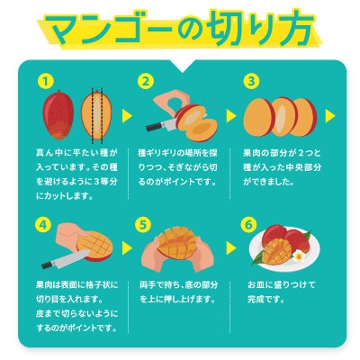 【2026年6月から順次発送・農園直送!】農園一番人気の完熟アップルマンゴー秀品 約1.0kg
