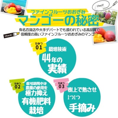 【2026年6月から順次発送・農園直送!】農園一番人気の完熟アップルマンゴー秀品 約2.0kg